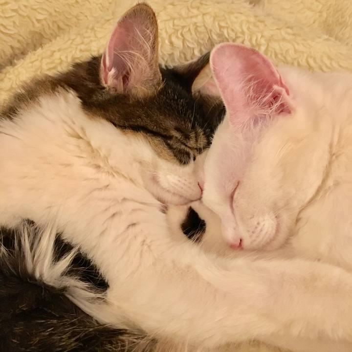 12168563 f5b7 4fa1 a2c7 16ef94f6b94b