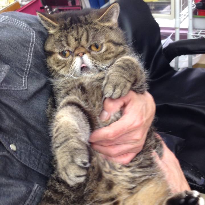 1216dd94 8288 4f7e 98cd e3745f345684