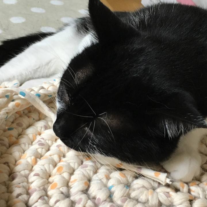 12176593 2ef2 4b05 bf5c 61e86892a9e1