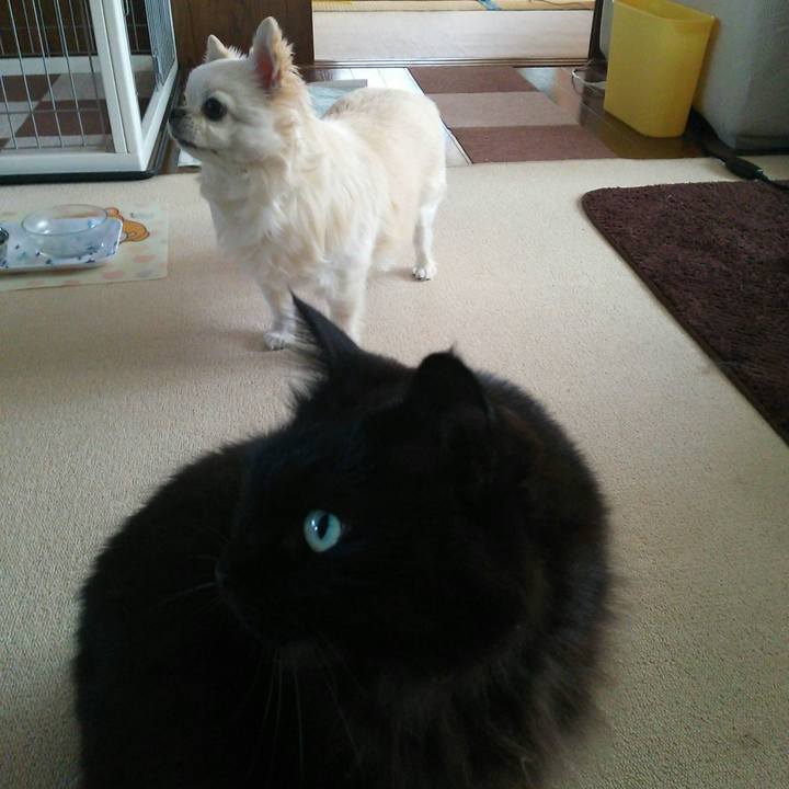 121774ee 287b 48fd 8896 07c683d41967