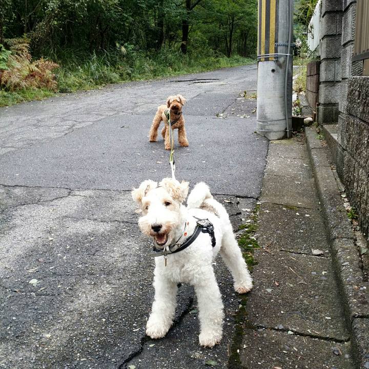 1217bdbb cf48 4fde a6ba dbb9f4a2bdd1