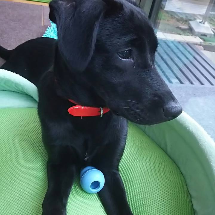 12185194 394d 4e5a ab1a 4dc0cd2efc55