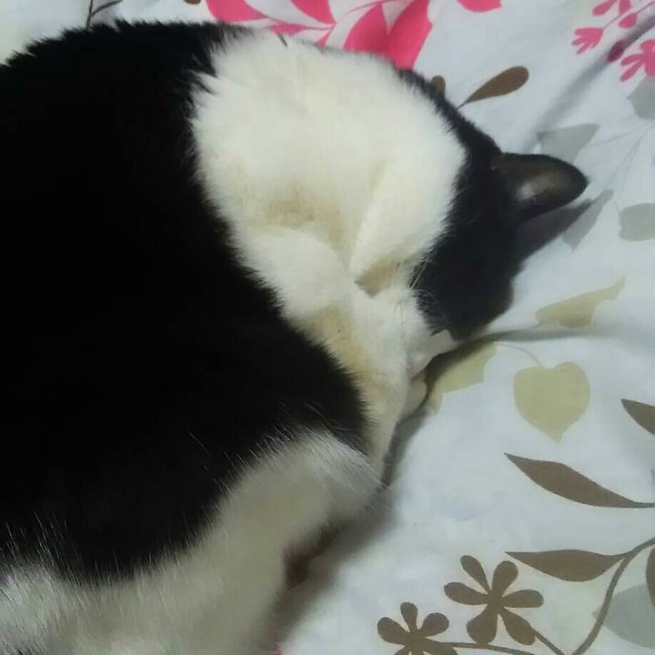 12185ae7 34d1 40fb b2c9 adb1a0a300b6