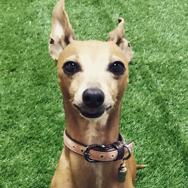 12195b5d 6d43 4178 9af2 aa959de5eab5