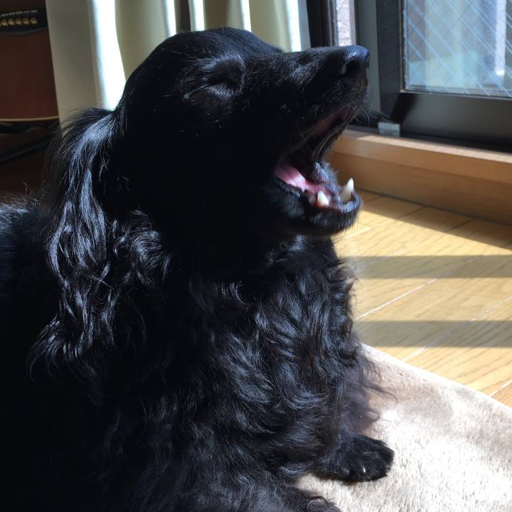 12197be2 d7d7 4772 80fe 13e8d4e425a1