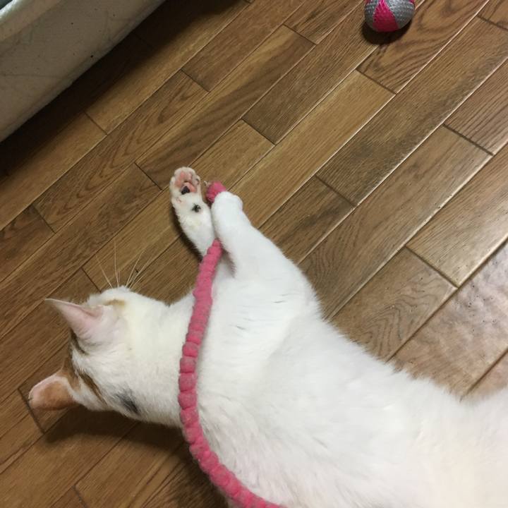 121a6e64 d518 4daa 836d ca32c560cc27