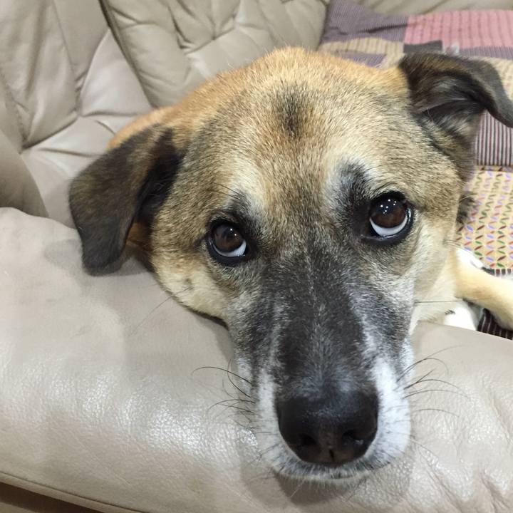 121b1cf9 0277 44f7 b353 c5d09e9db49f