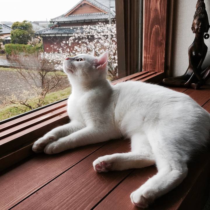 121b3bf3 8fd0 44c7 b43d 87faec129edb