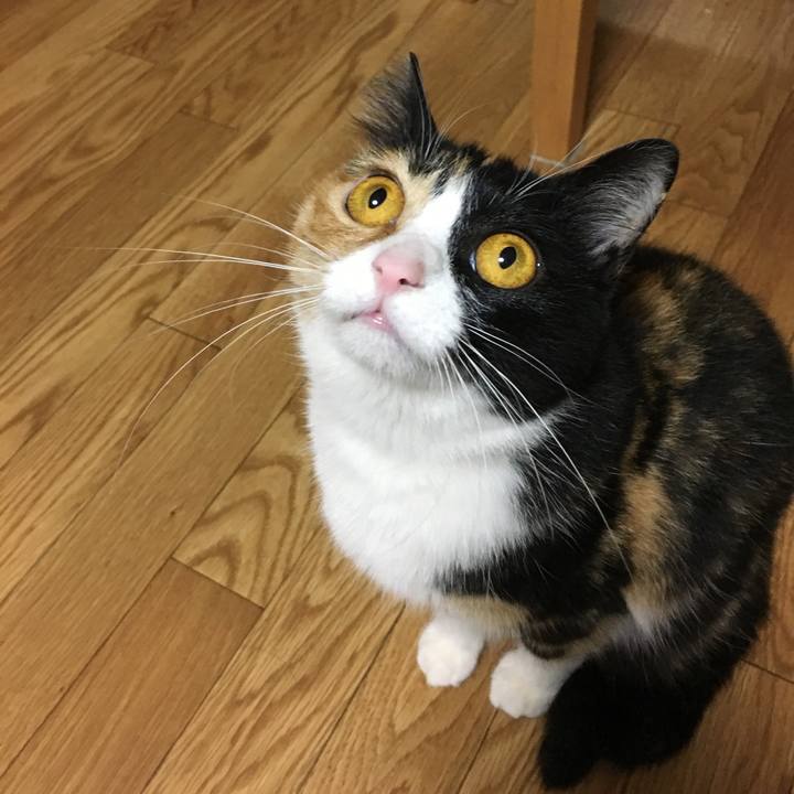 121cc4f3 b7a6 4953 804c ee1ace8525e4