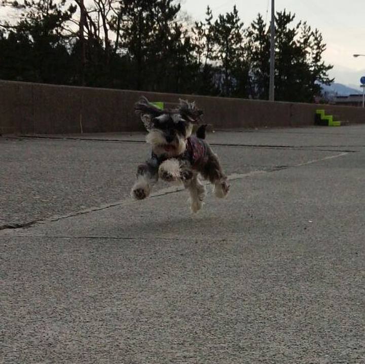 121d5598 fa00 4ee0 97d8 b58ed5d7b4bc