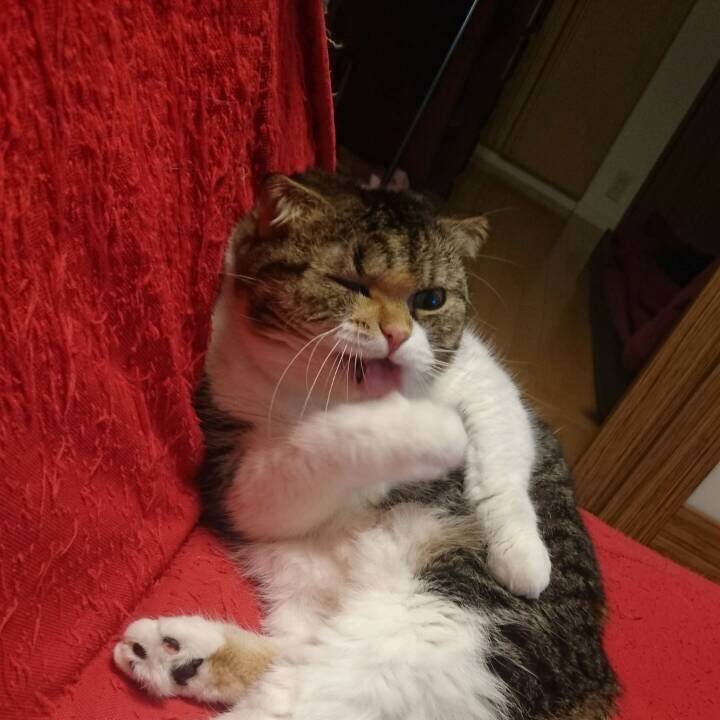 121d6253 8674 4844 bcf8 61a53bcf7575