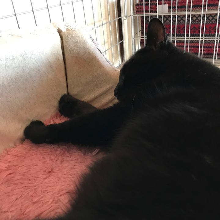 121d8d60 bfa6 4580 aa7c d746df097b0c