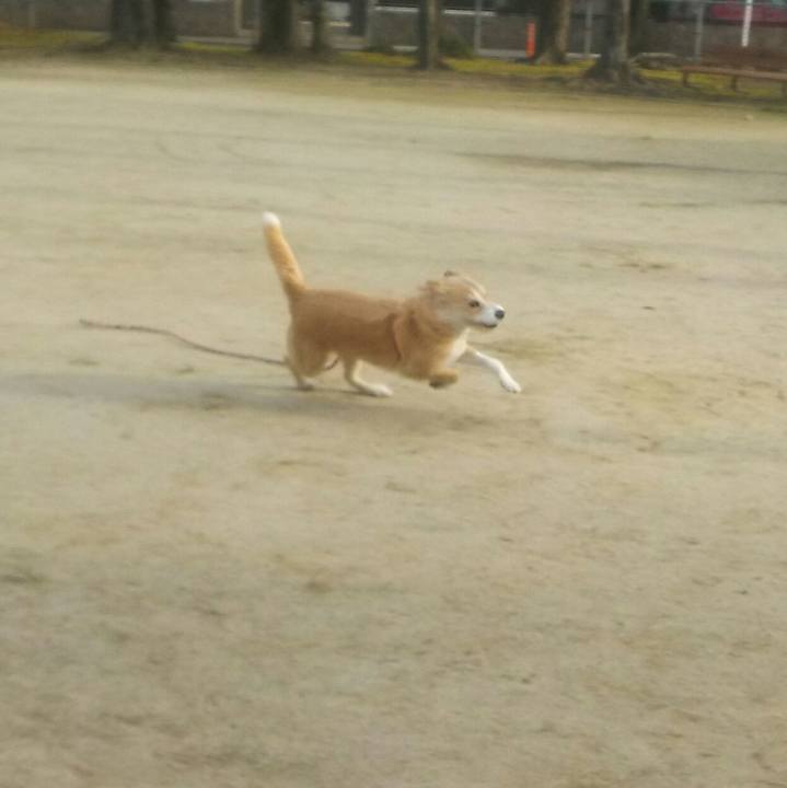 121df5bc 7637 4efd b88e ef43e3b77b13