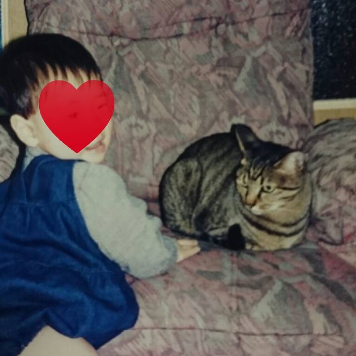 121f203b a1f4 4d75 a100 4f013de921f0