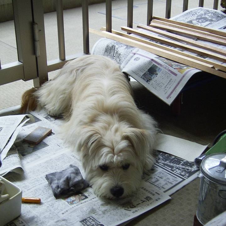 121f3217 26c2 459f b88a ebc6243949ac