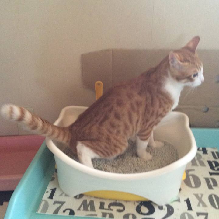 121f35f7 6592 436b 9e2f 9bf355f7ea78