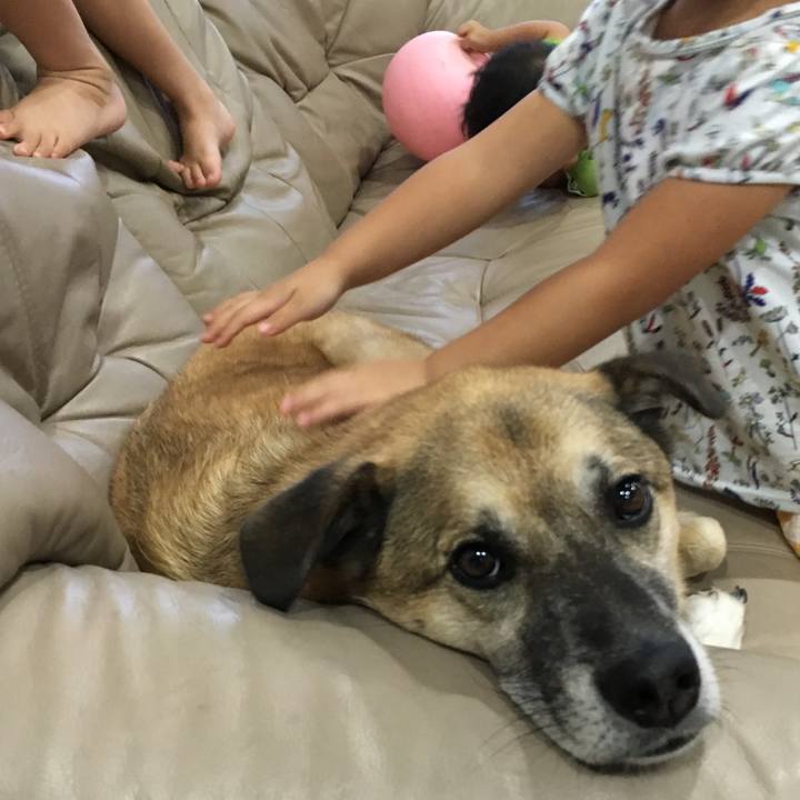 121f7057 3013 42d3 9d89 b6866a8a0cdd