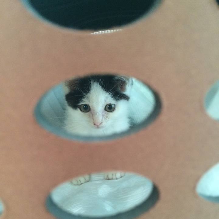 121fa268 785f 48a5 86c0 0ab8ee668686