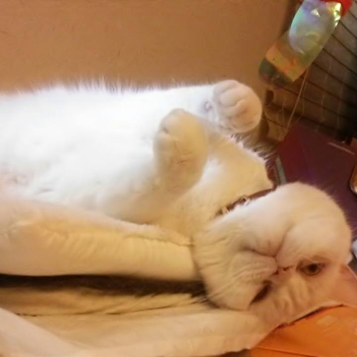 121fc1ec 681c 4df2 8198 97b17718e958