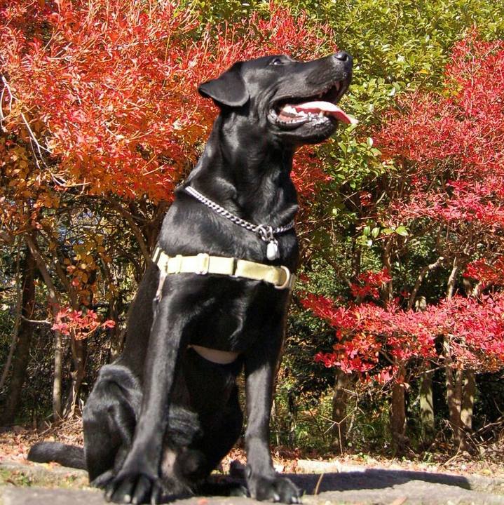 1220a393 6415 4661 a608 90ffdb4e59c9