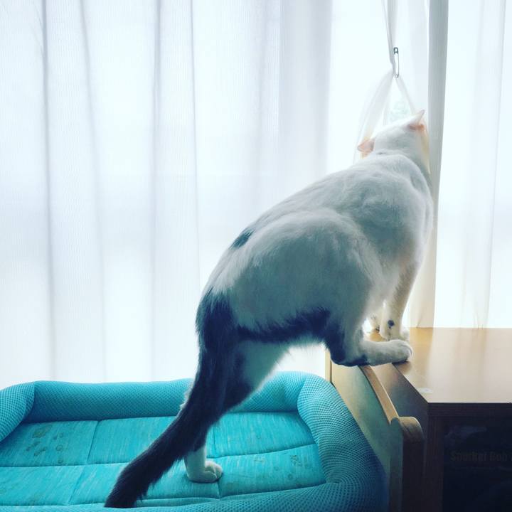 1220ea96 6418 499e b99b 825c4e65679e