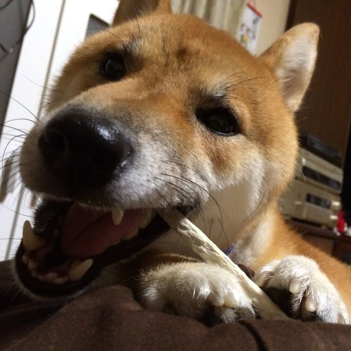 12210403 ed3d 4c11 bf26 db433f758c69