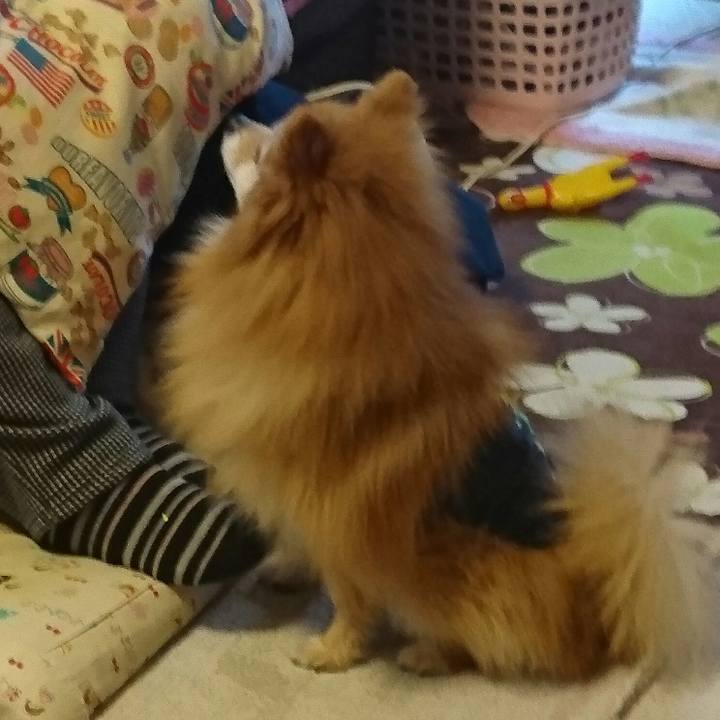 12215fd6 a193 483f 838c 6c82fd4ce2fa