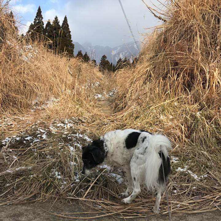 1221c182 d1da 4337 97e0 2fac77e40dd4