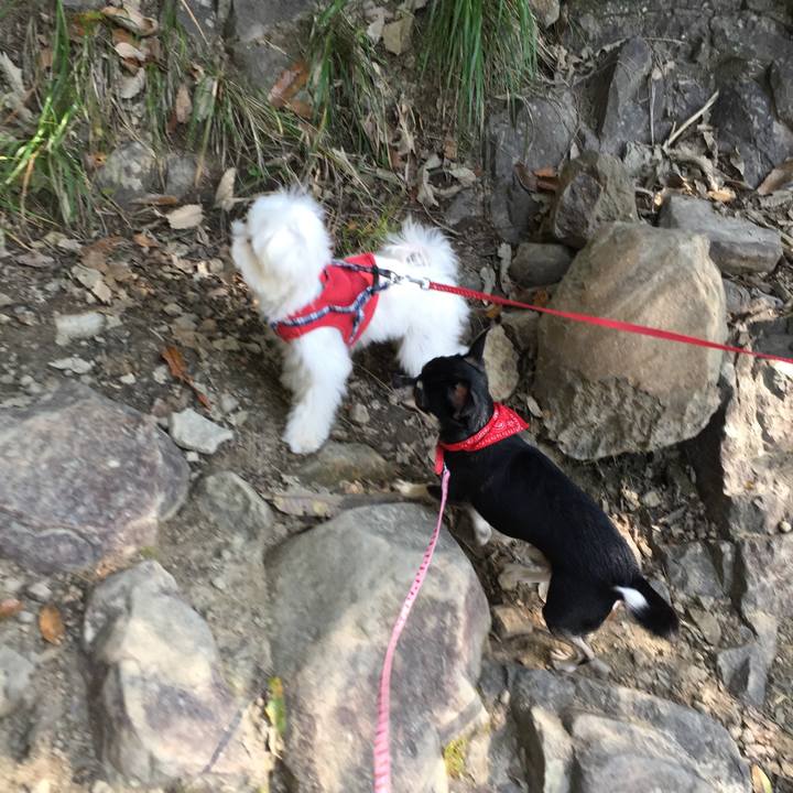 12222217 e158 4b82 8808 ceddd1af5e52