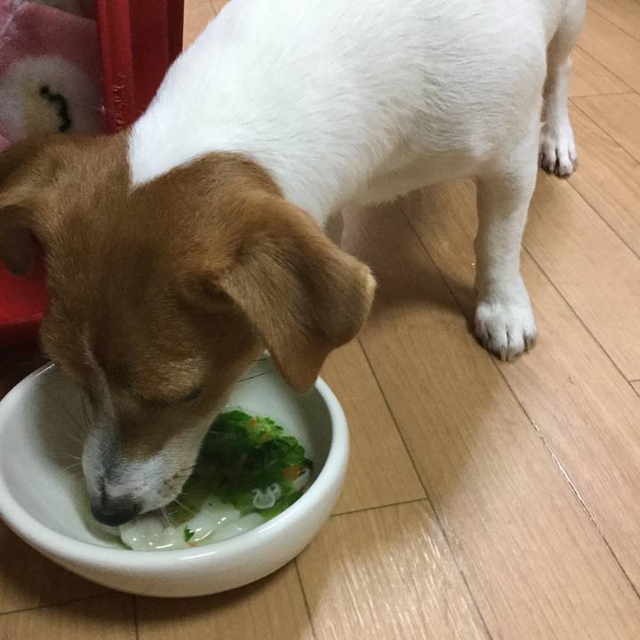 122297a1 6fbe 42c5 8019 07eb459511db