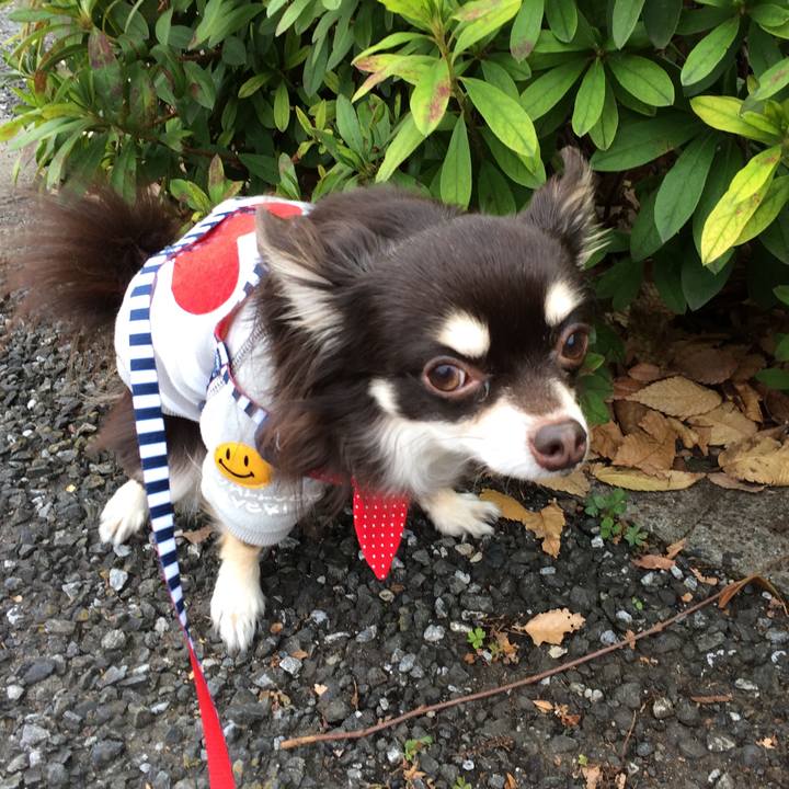 1222d903 223b 410d a909 e5c7a926d91d