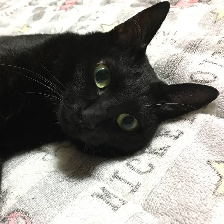 122313bd 66d1 47c3 bfe6 7caccde61245