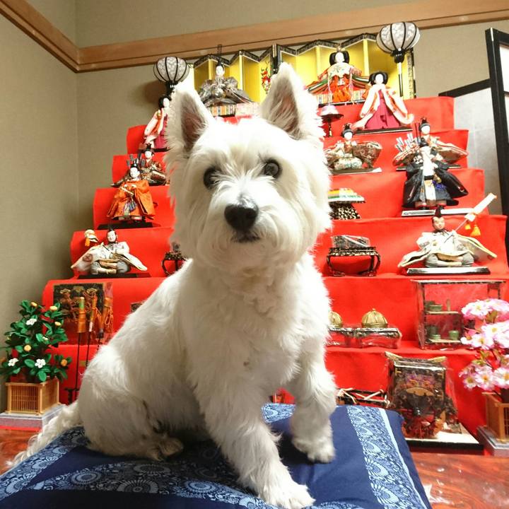 1223d915 2689 4e6b 8504 e052d127f22c