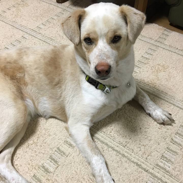 12241c3a 0f86 4600 9d34 7cc22abd16d3