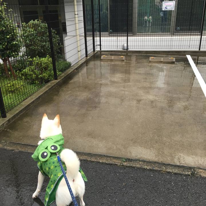 12247262 b40c 4415 bf50 0ac951b244b8