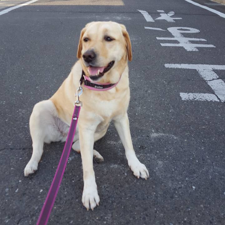 122505bf b9c1 429b ae48 0f44441de177