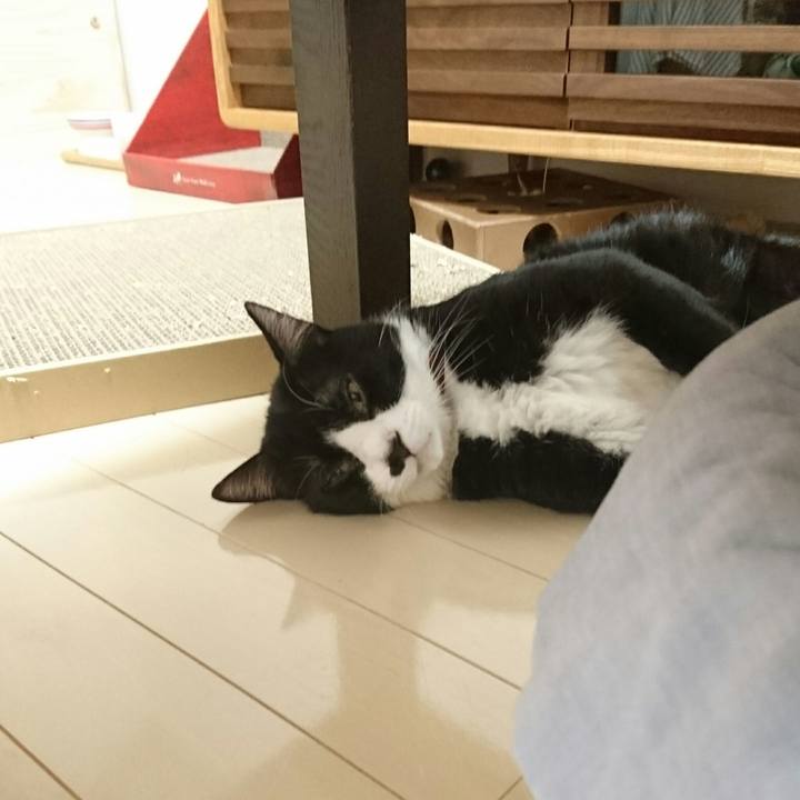 12255339 1a71 41e8 b033 2a06d6680acc