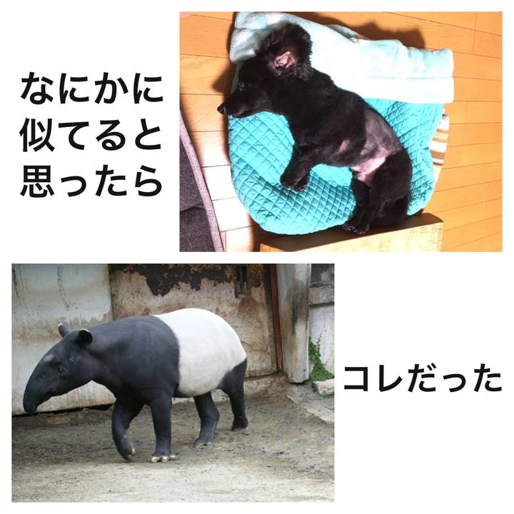 122579d6 9c0e 486a 8f1f de34a5a3322e