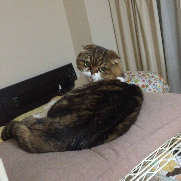 12257ebe 12da 4865 9491 e04291884049