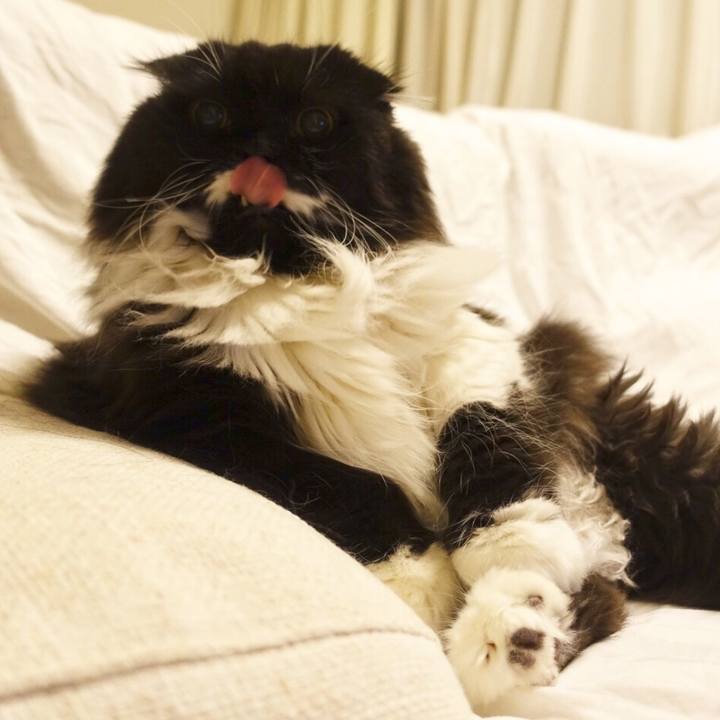 12258d6f 70d2 490a b0da 66c8b7ee219b