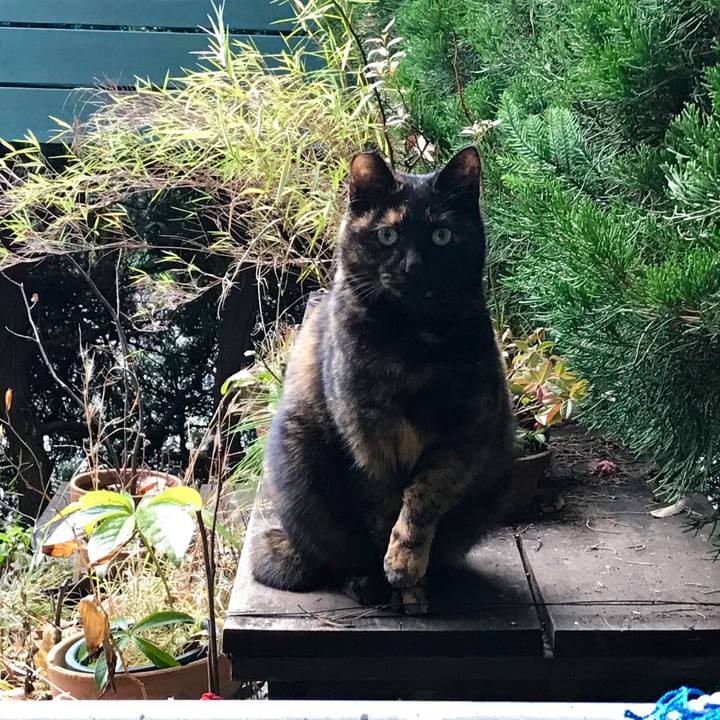 12268fad ba15 4f00 bfd5 637f89cb1083