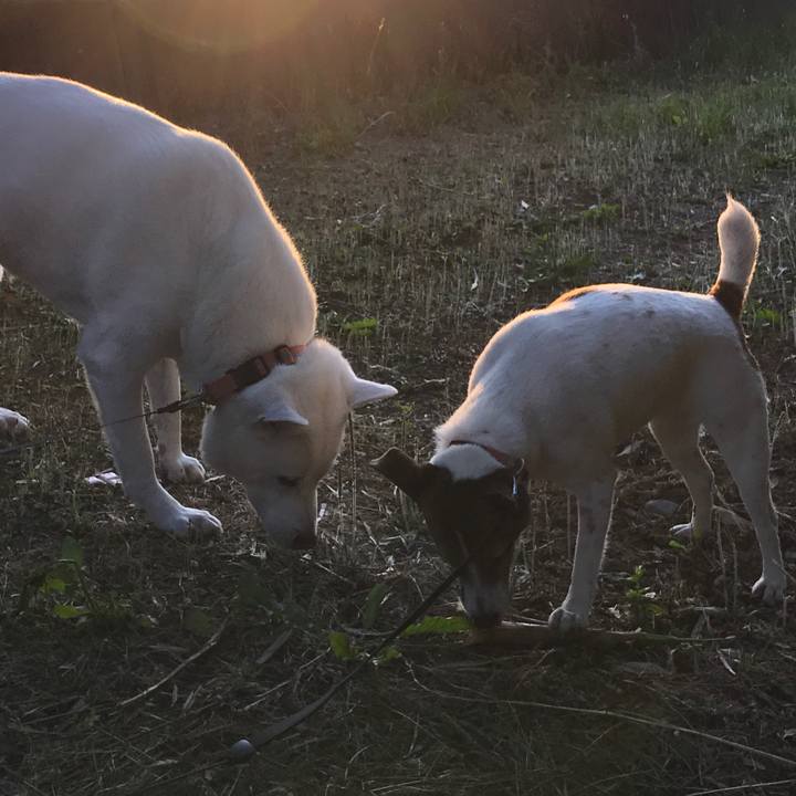 1227aa6e ce2b 401d a477 a4d4e1f8ed5d