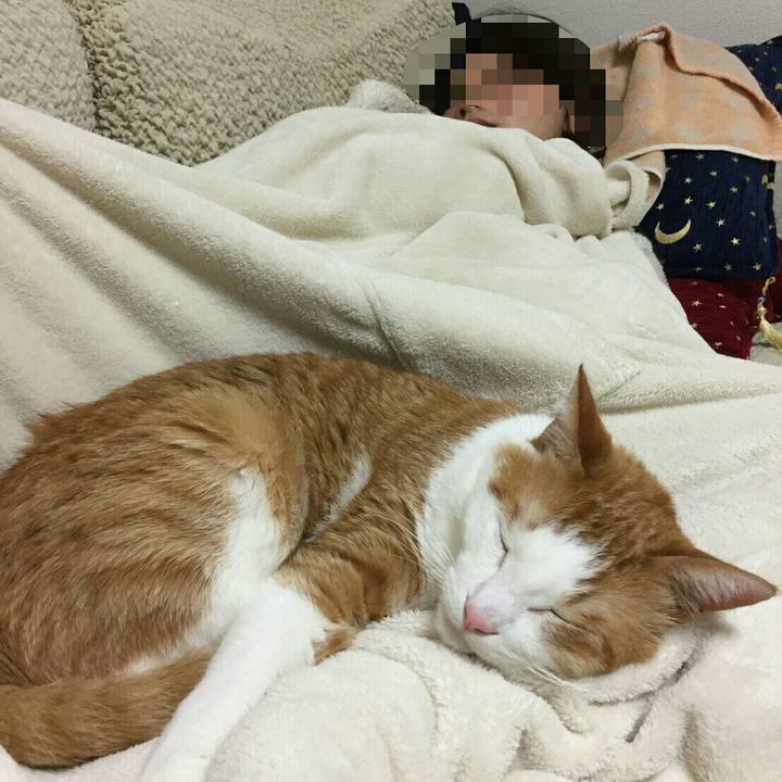 1227f586 3d32 4fb9 8747 fa5d68a7be87