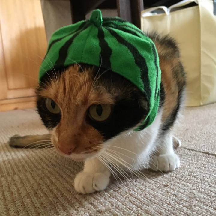 12286db6 7c1d 43ed b4e0 2b37b1d631cb