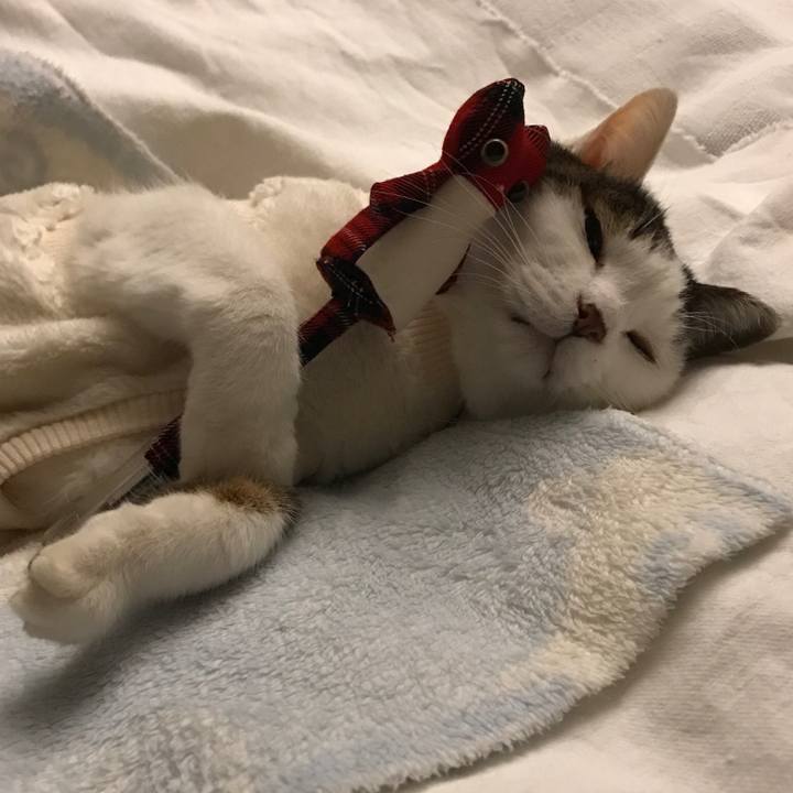 12289f69 5331 4053 bbbb f26cdd86f04f