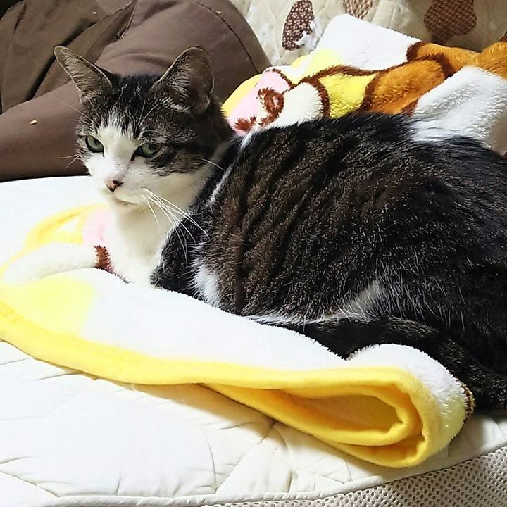 1228da2a 33b7 4a72 b6c1 fd6cf580c1c8