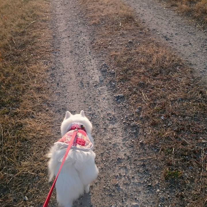 122908c9 acf0 48af bf53 489b510adca0