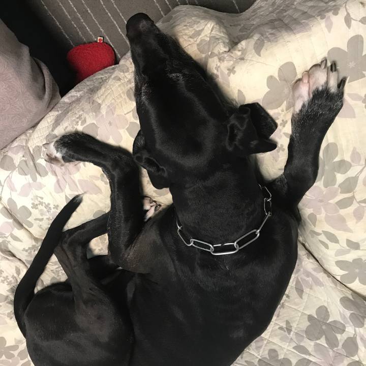 122970d0 c256 46be b68d a56de3d40ac9