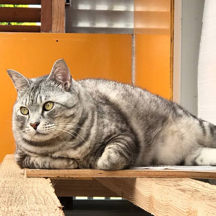 1229c76b 39dc 4f1b 9605 c4029d634a10