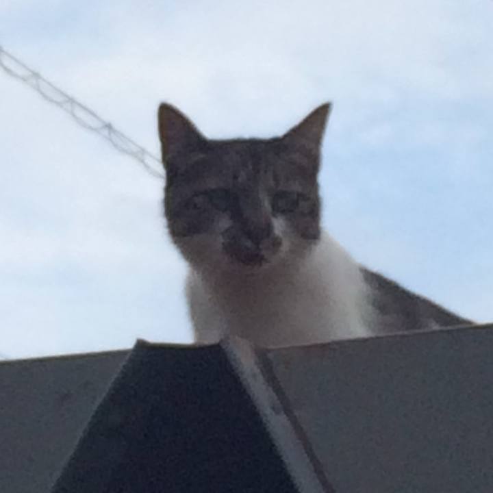 1229e419 70ac 4b4e 925e db0ebdd3c9d3